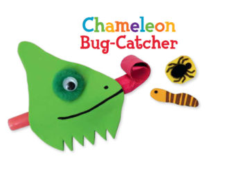 chameleon craft
