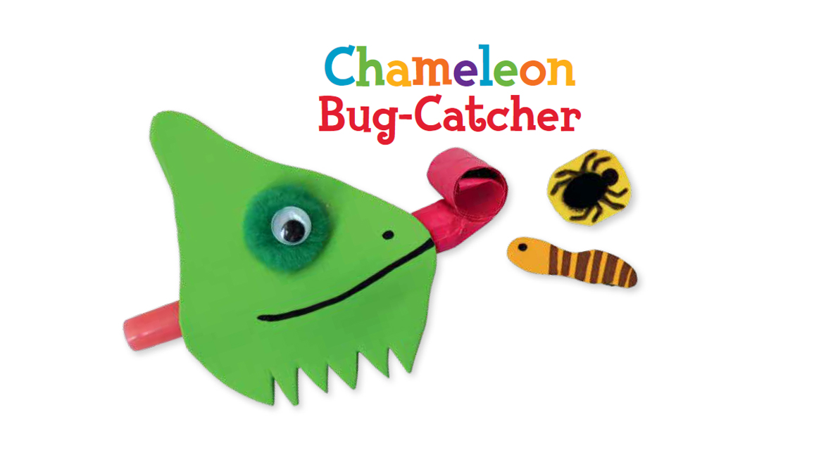 chameleon craft