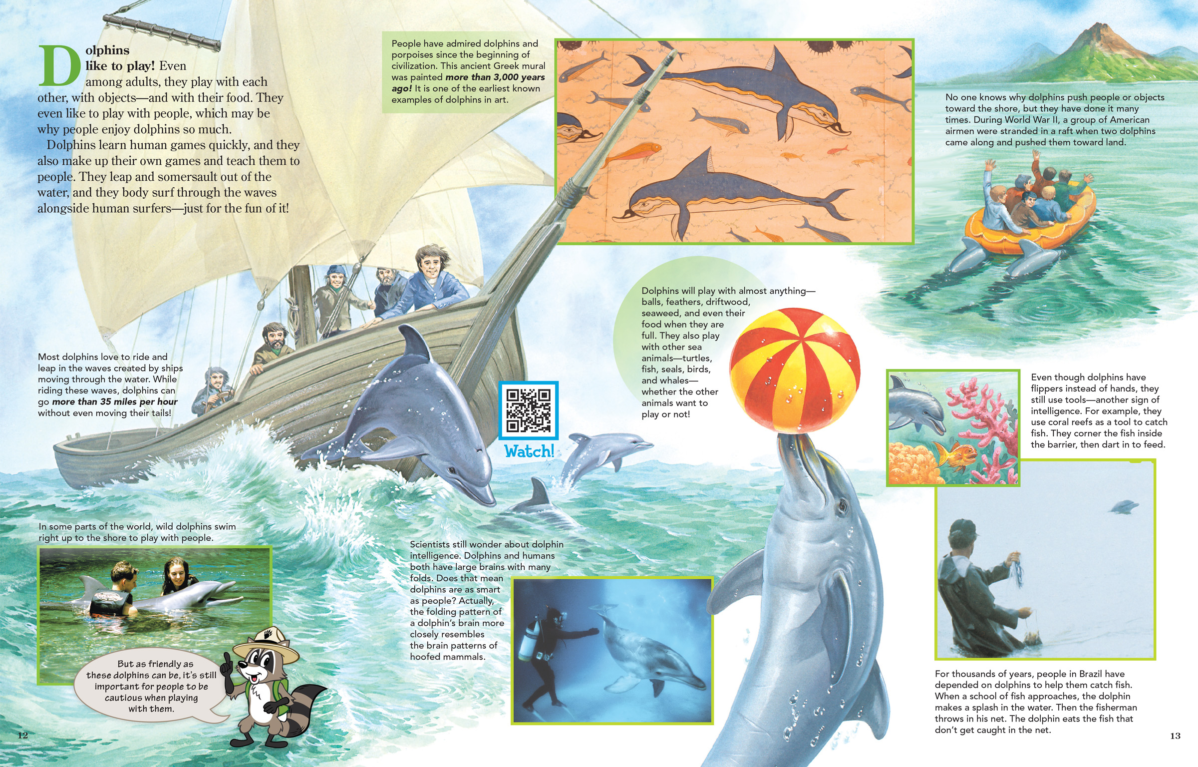 Examples of dolphins interacting with people: playing, fishing, helping, surfing. Plus ancient dolphin art.