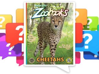 Shows the cover of Ranger Rick Zoobooks Cheetahs surrounded by question marks.