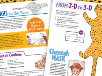 Sample pages from Ranger Rick Zoobooks Cheetahs Activities.