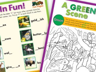 Sample activity pages for Ranger Rick Zootles Frogs