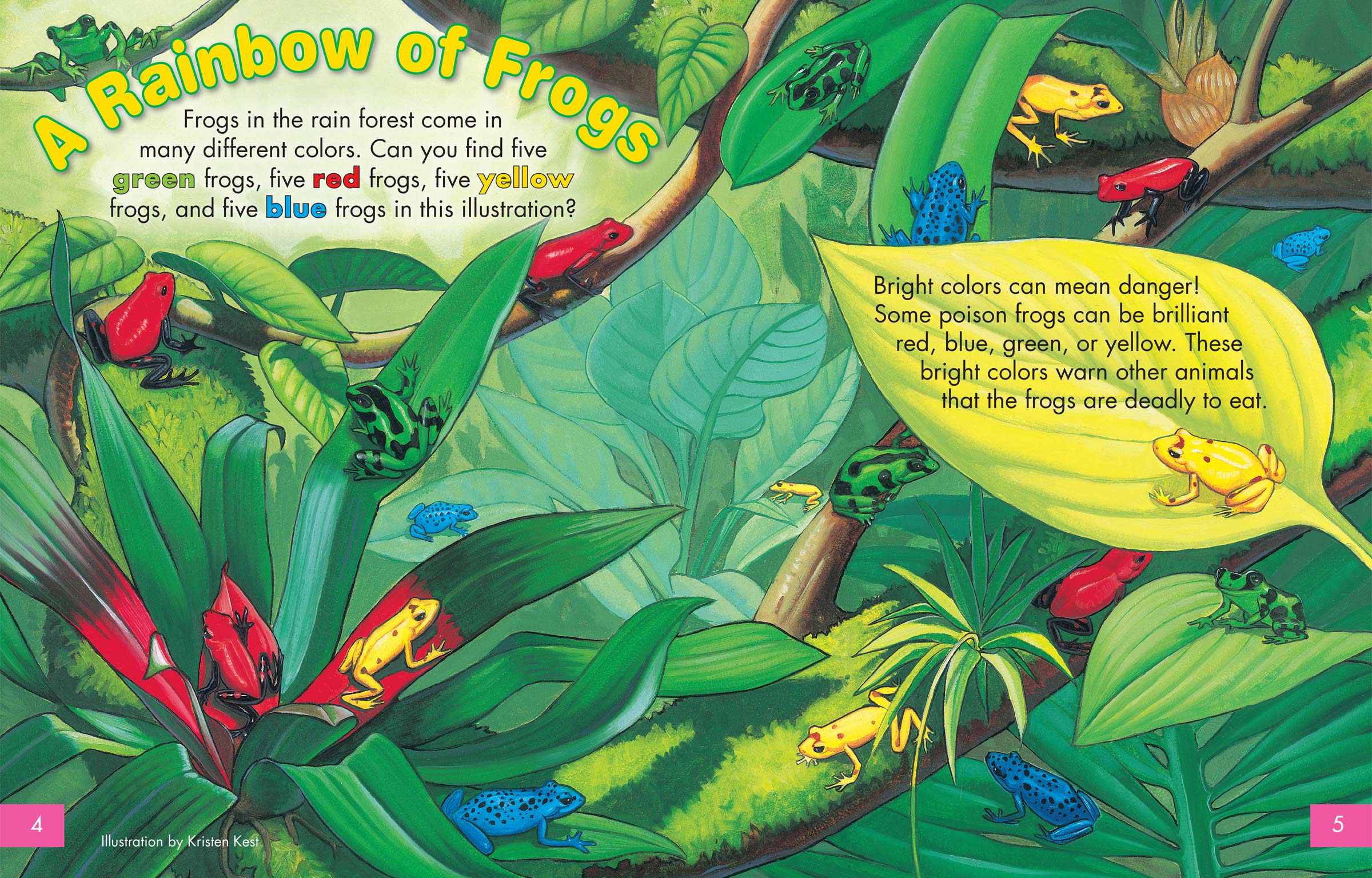Pages 4&5 of Zootles Frogs, showing various colored frogs in a jungle setting.