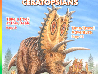RR Dinosaurs—Ceratopsian