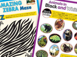 Sample pages for Zootles Zebras Activities