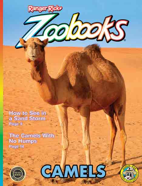 zoobooks camels cover