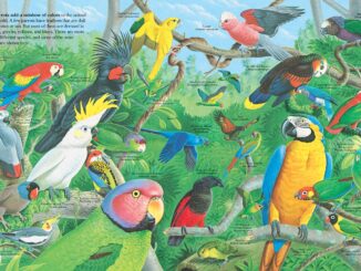 Pages showing many different types of parrots