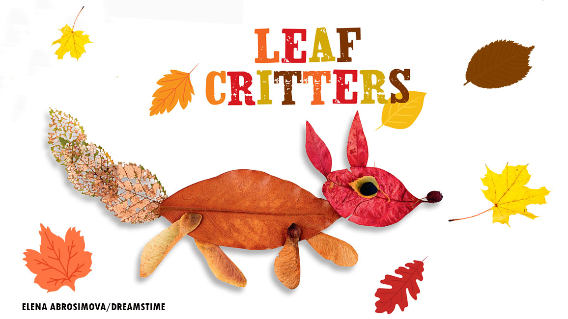 autumn leaf critter