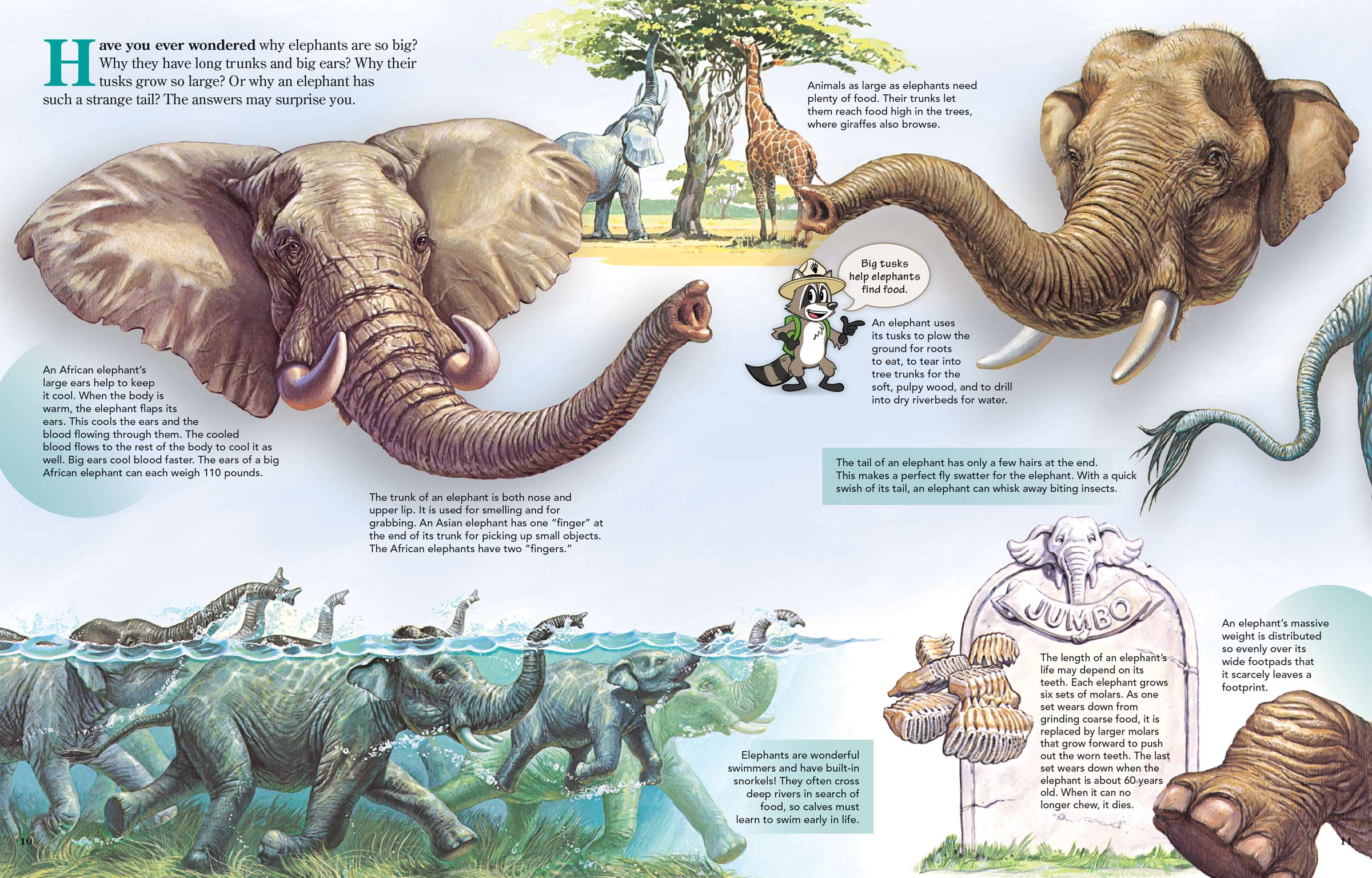 Fun information about what makes elephants special.