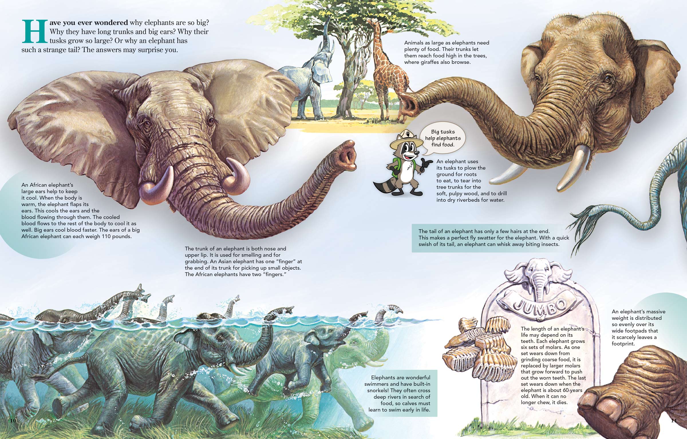 Why Do Elephants Have Big Ears?. Three Techniques to unleash your