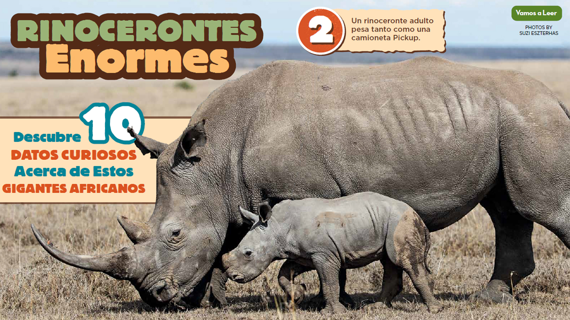 Rhinos - Spanish Story Feb 2023 RR JR