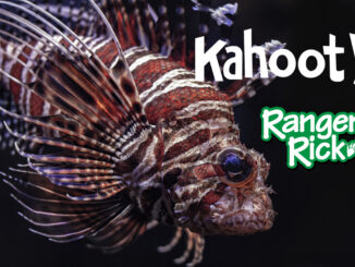 lionfish Kahoot game