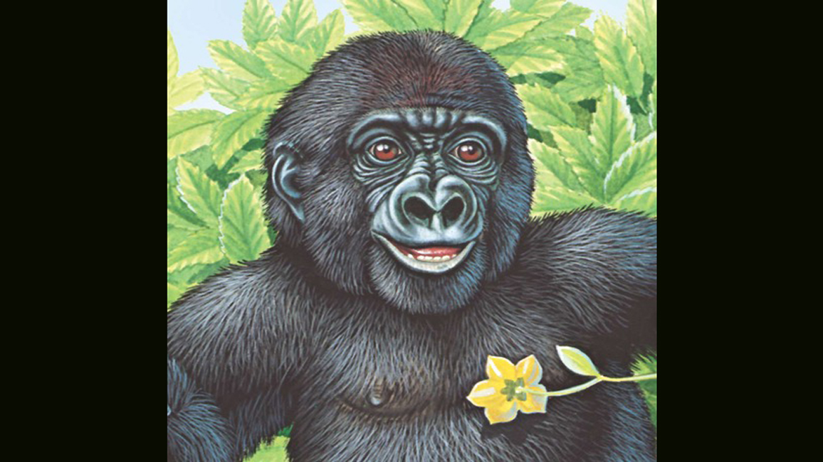 Baby Gorilla Illustration