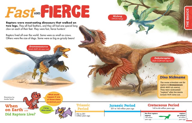 Birds of Prey: a printable raptor unit study