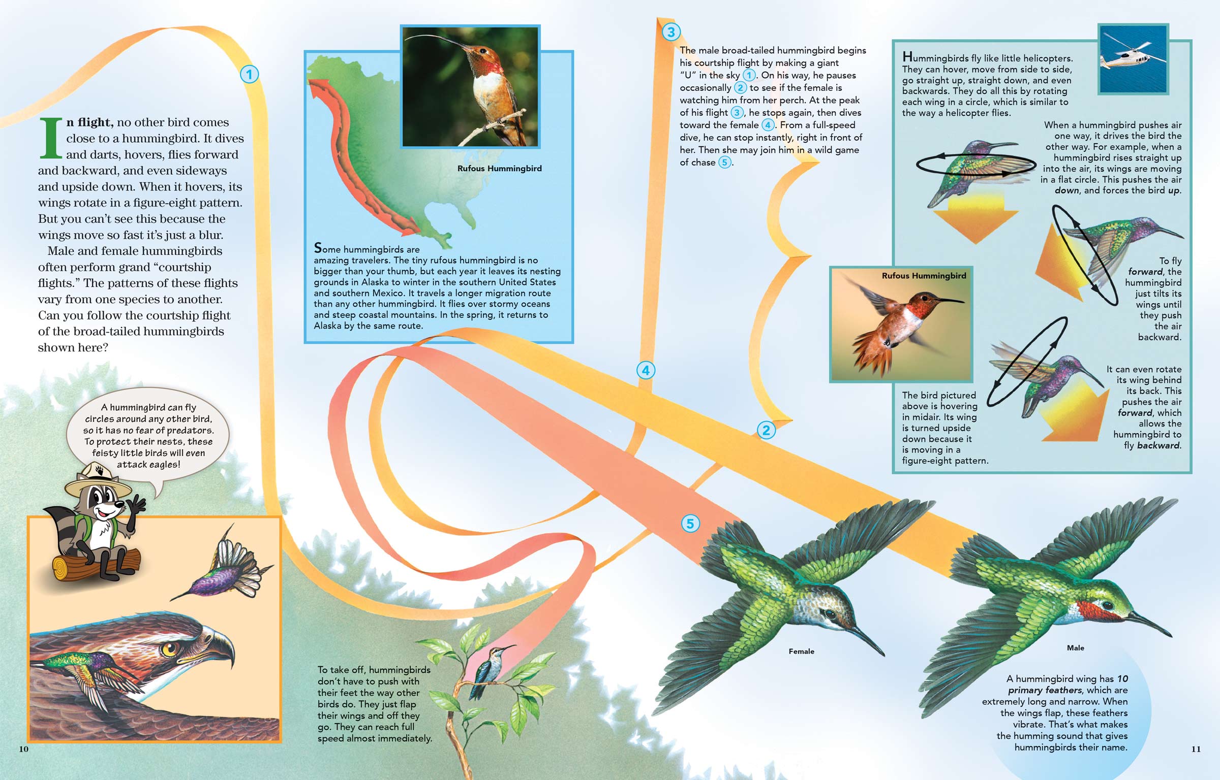 Solved A flying hummingbird picks up charge as it moves