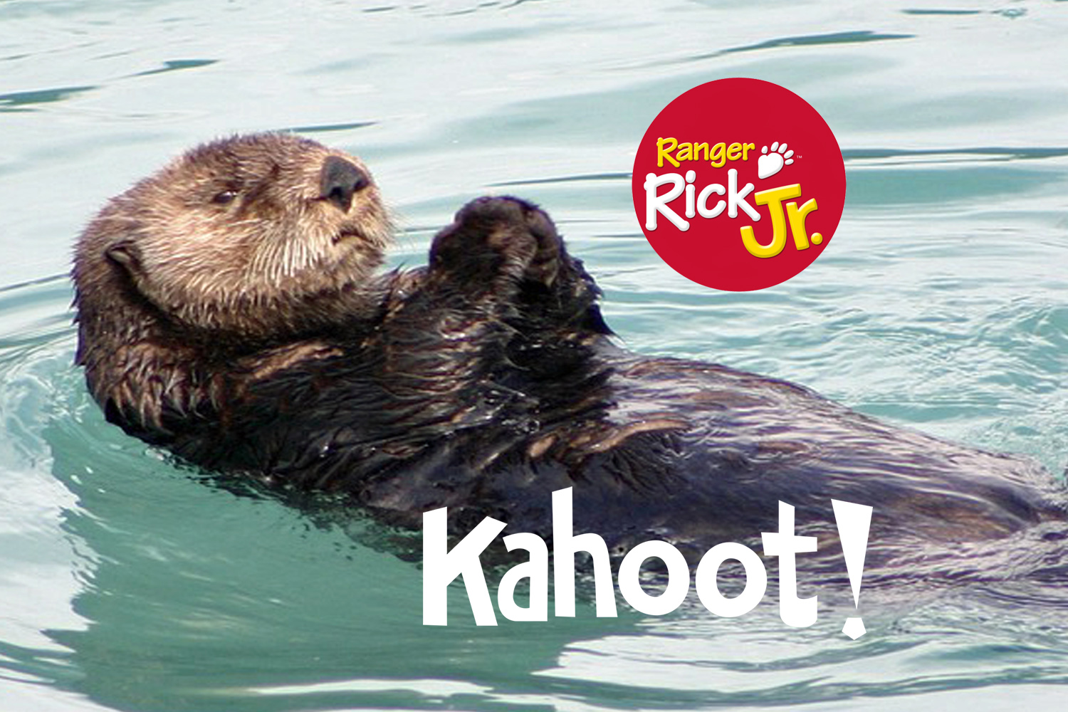 Kahoot: Sea Otters
