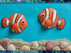 clownfish seashells