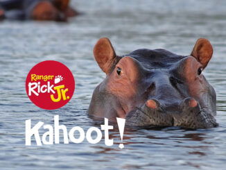Hippo Kahoot