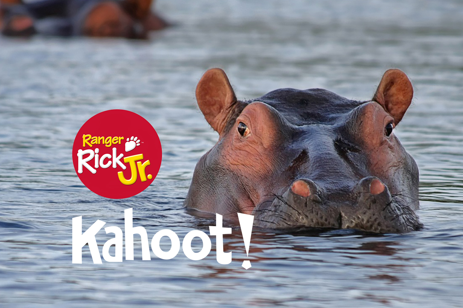 Kahoot: Hooray for Hippos