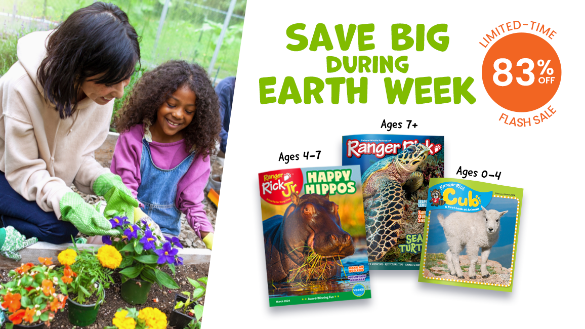 Save 83% off Ranger Rick subscriptions. Because our Earth matters. Start a subscription today and start saving! Offer ends 4/23.