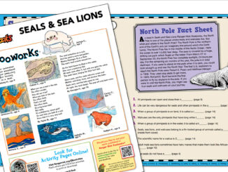 Zoobooks Seals & Sea Lions Activities