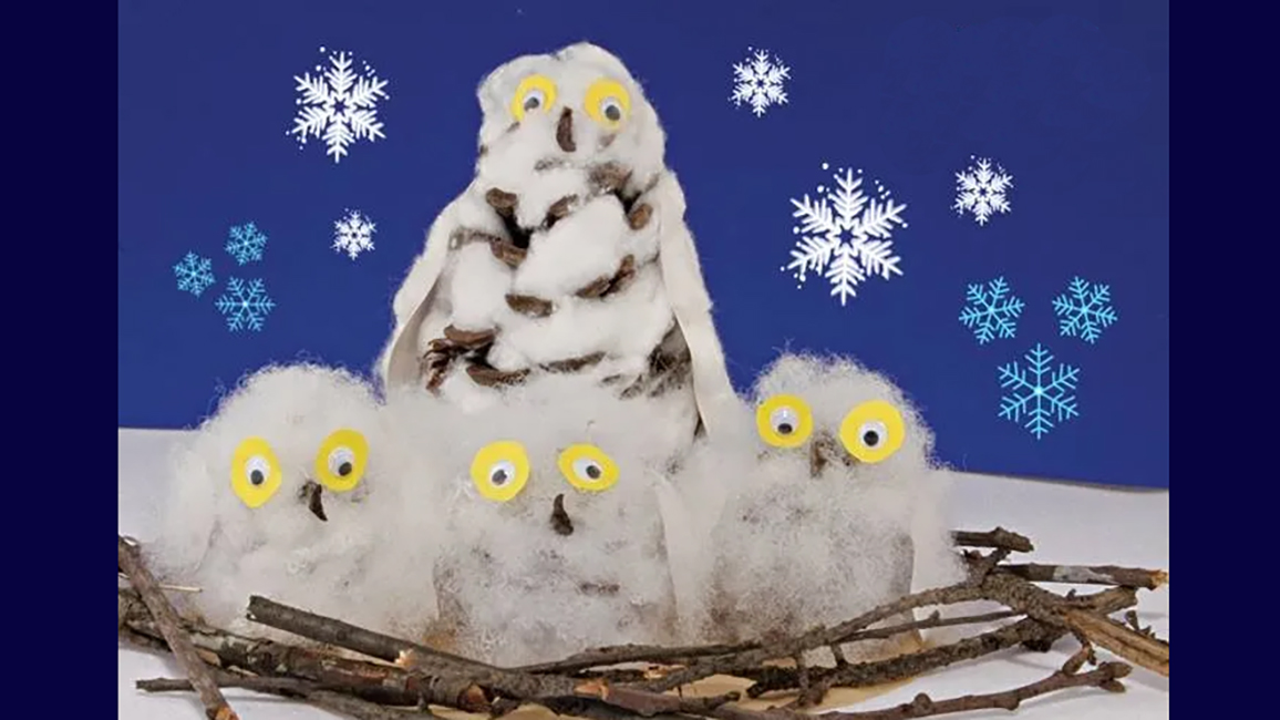 Make Snowy Owl Pals