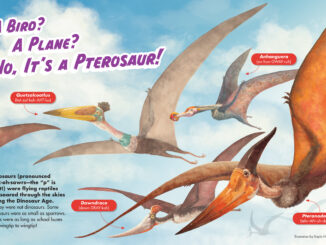 RR Dinos Pterosaurs