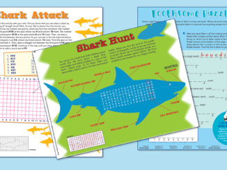 Zoobooks Sharks Activities