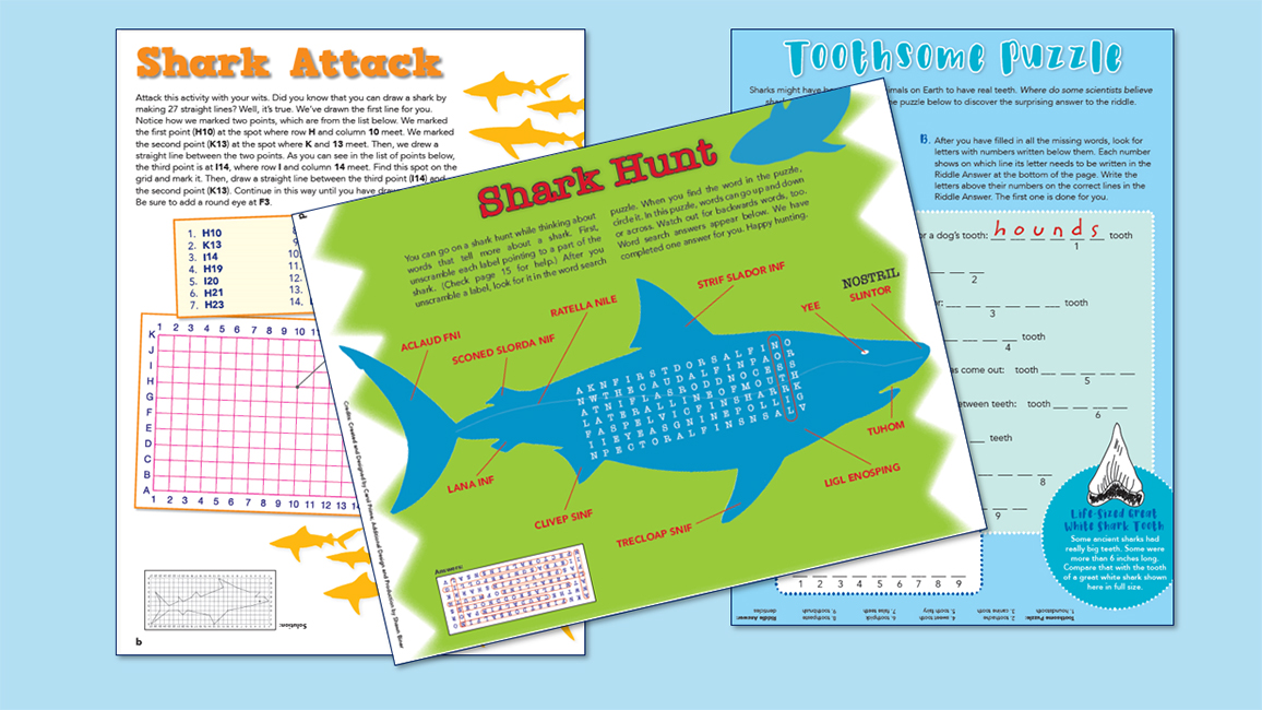 Zoobooks Sharks Activities