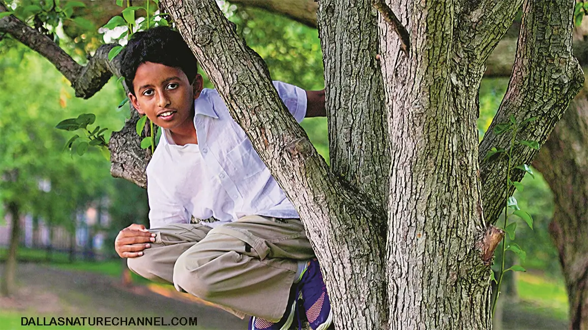 Arjun