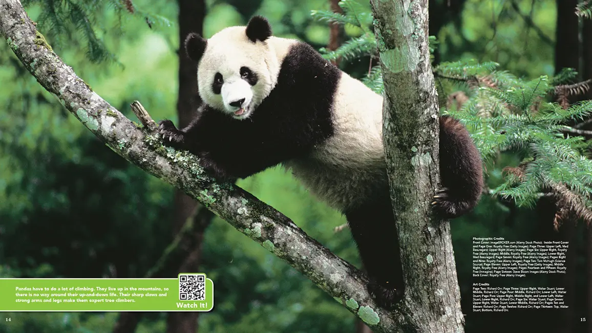 Zoobooks Pandas