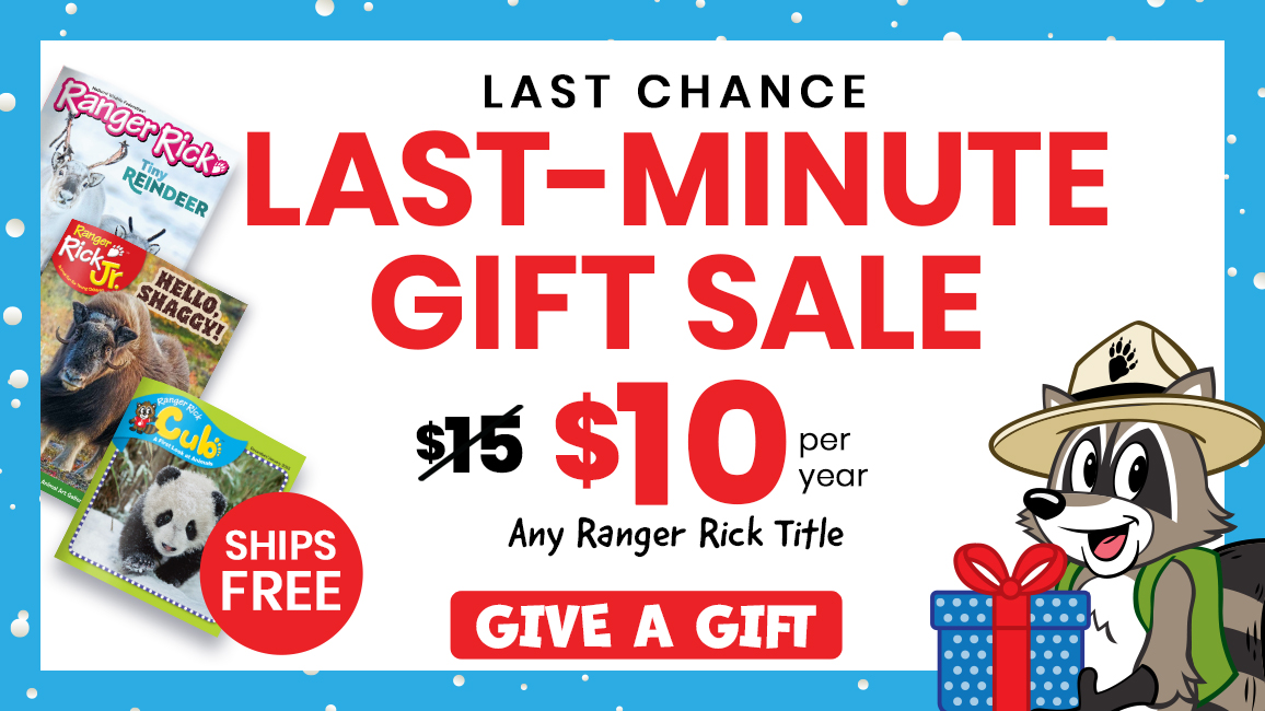 Delivery for the holidays may have passed, but the savings are still here! Shop now and save big! Sale ends 12/23.