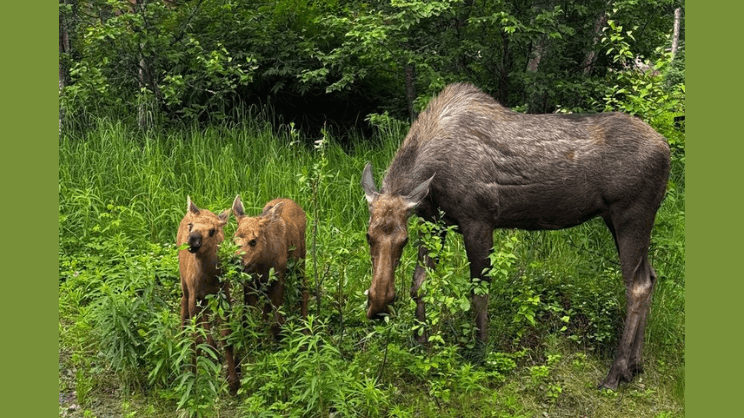 Editors' Picks for November