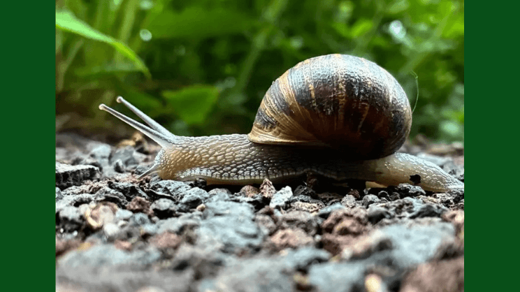 Editors' Picks for November