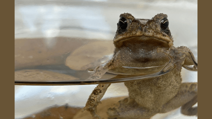 Editors' Picks for November