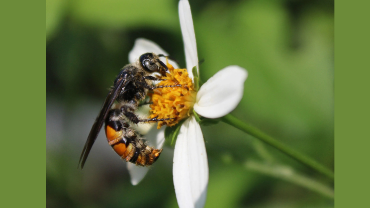 Editors' Picks for January