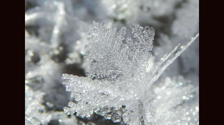 Editors' Picks for January