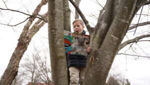 Child reading a magazine in a tree