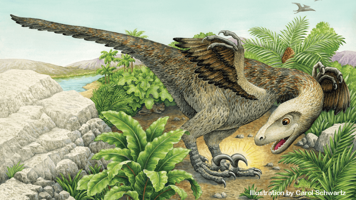 Ranger Rick Dinosaurs Raptors issue