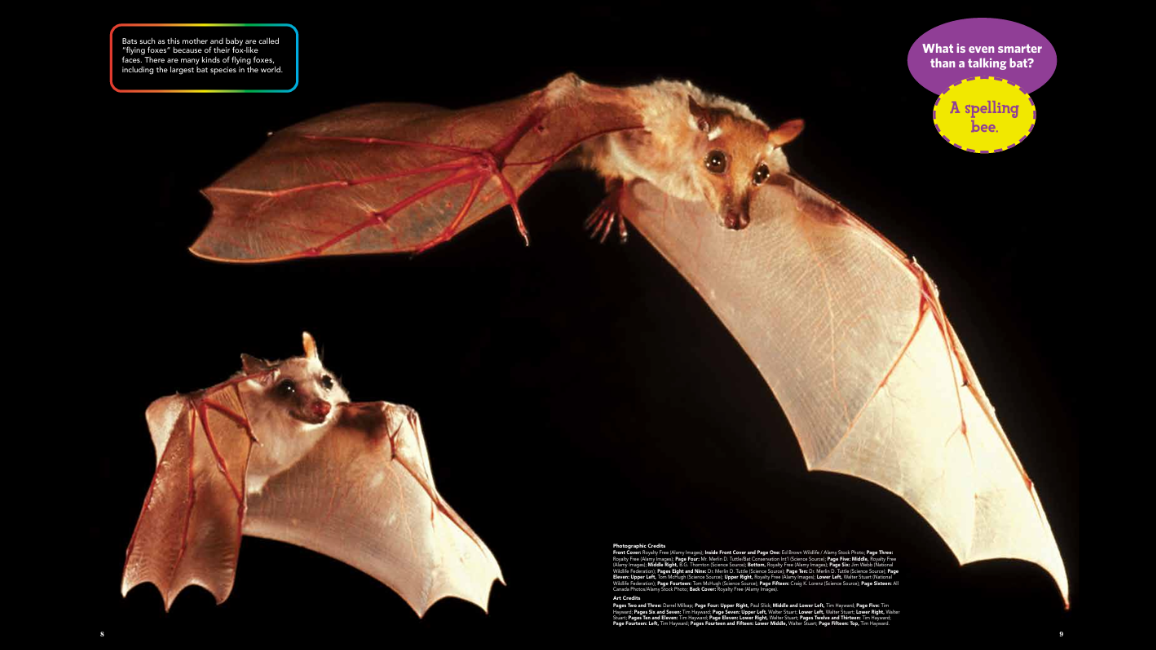 Zoobooks Bats