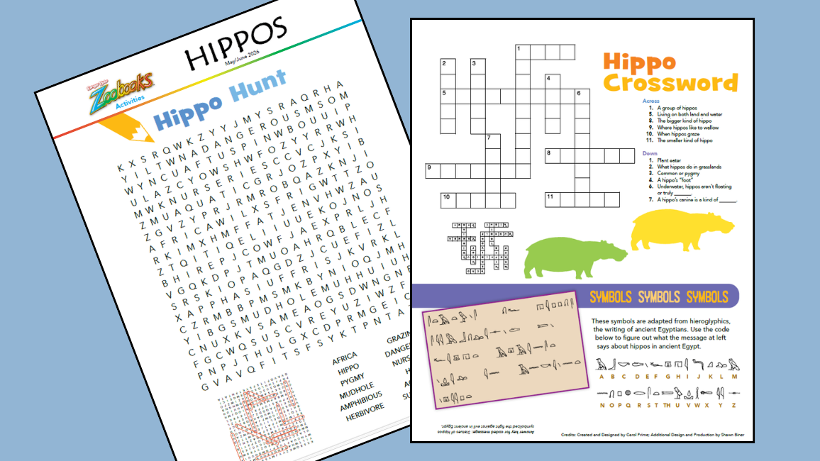 Zoobooks hippos activities