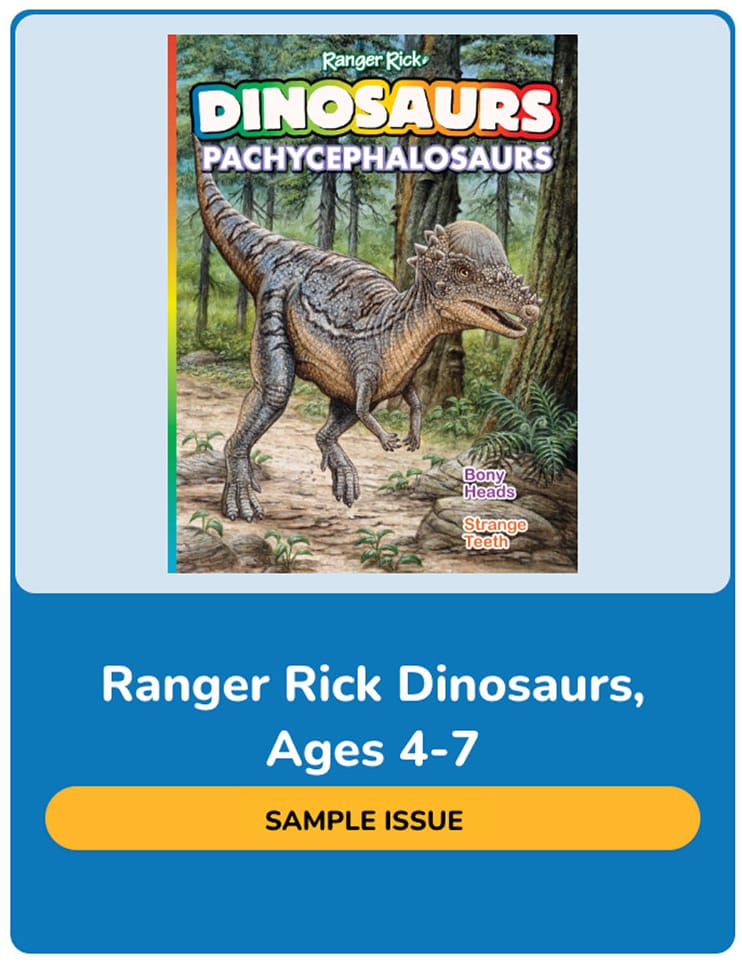 Ranger Rick Dinosaurs sample issue