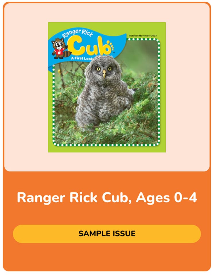Ranger Rick Cub sample issue