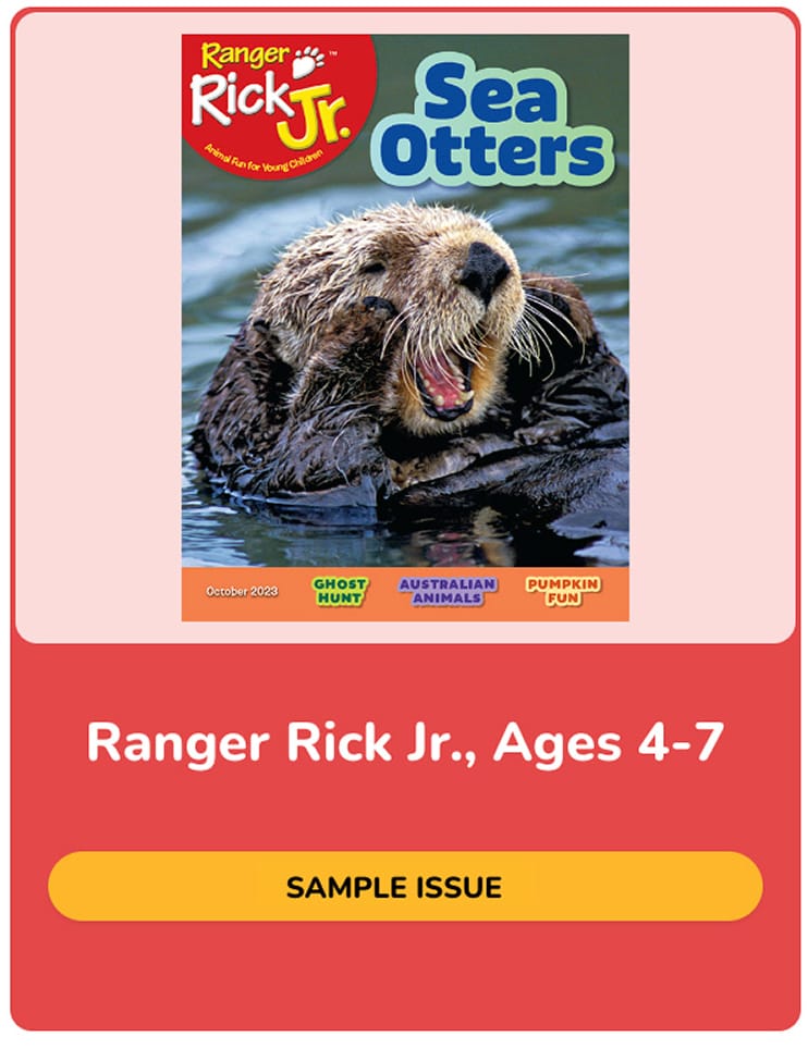 Ranger Rick Jr. sample issue