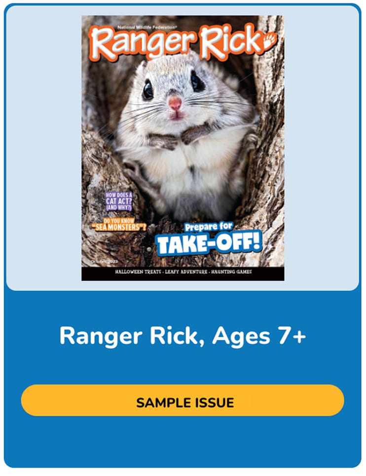 Ranger Rick sample issue
