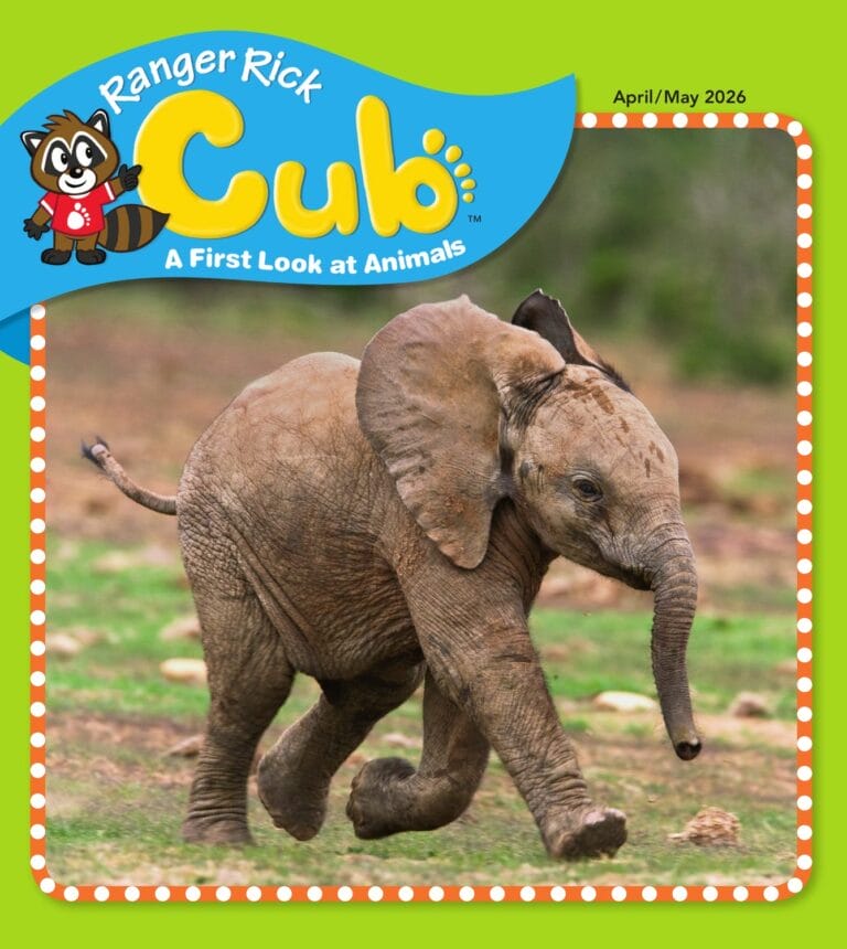 Ranger Rick Cub