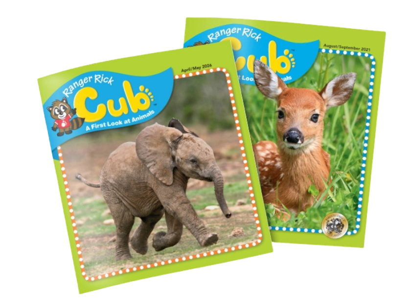 Ranger Rick Cub magazine cover