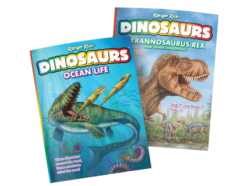 Ranger Rick Dinosaurs magazine cover