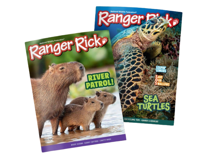 Ranger Rick magazine cover
