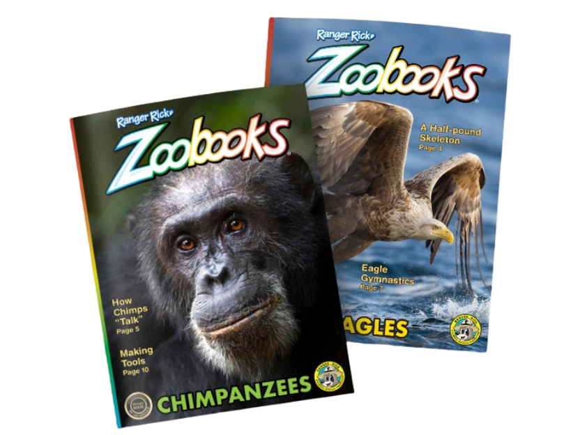 Ranger Rick Zoobooks magazine cover